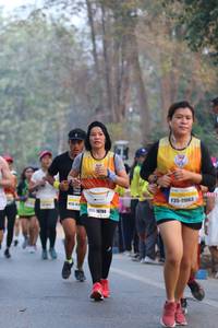BIB: 11063, 10788
                            <button type="button" onclick="openModal(10410804)" class="btn btn-primary btn-sm float-right btn-popup" data-toggle="modal" data-target=".modal-high-quality">
                        <i class="fas fa-shopping-cart"></i> Add to Cart
                    </button>
                                            <button type="button" onclick="isThisMe(10410804, true)" class="btn btn-success btn-sm float-right btn-popup btn-isme hidden" data-toggle="tooltip" data-placement="bottom" title="นี่คือรูปของคุณใช่ไหม คลิกที่นี่เพื่อเอาเข้าอัลบั้ม">
                        <i class="fas fa-plus"></i> Add to album
                    </button>
                    <button type="button" onclick="isThisMe(10410804, false)" class="btn btn-warning btn-sm float-right btn-popup btn-isnotme hidden">
                        <i class="fas fa-ban"></i> Remove from album
                    </button>